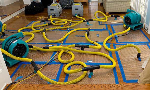 Professional Storm Water Damage Restoration technician working in Eatonville, FL